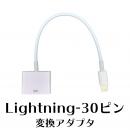 Lightning 30ピン変換アダプタ(約15cm・充電/データ転送)
